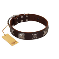 "Nut-Brown Finery" Embellished FDT Artisan Brown Leather Labrador Collar with Chrome Plated Crossbones and Plates