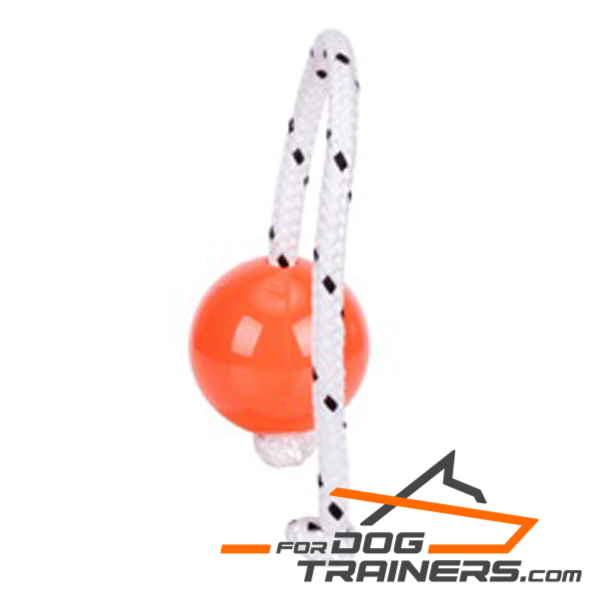 Dog training ball 
