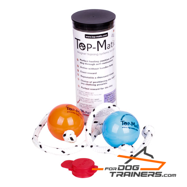 Nice balls for canine Training