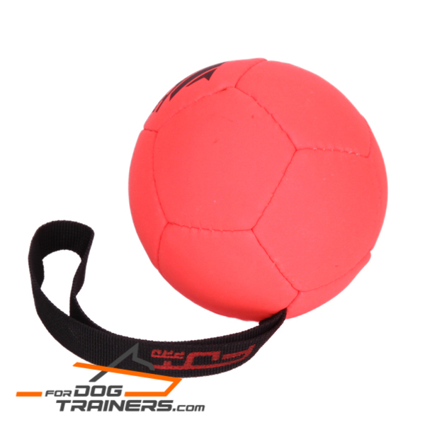 Training orange dog ball 
