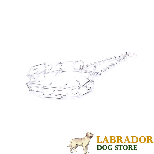 Top notch chrome plated steel pinch collar for badly behaved dogs