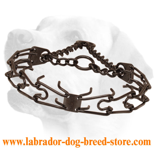 Black Dog Pinch Collar of Stainless Steel