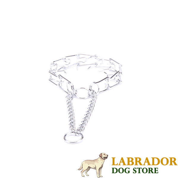 Dog prong collar chrome plated for disobedient pets
