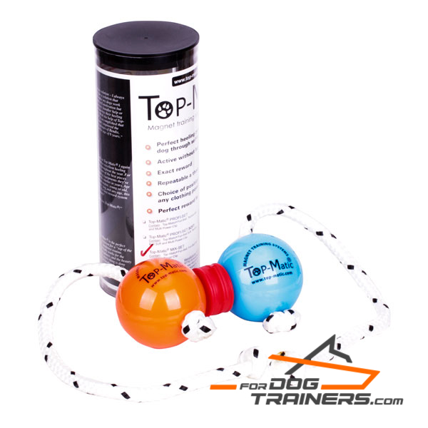 Super balls for canine Training