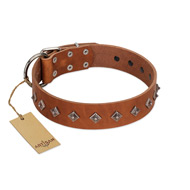 "Broadway" Handmade FDT Artisan Tan Leather Labrador Collar with Dotted Pyramids