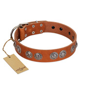 "Woofy Majesty" FDT Artisan Tan Leather Labrador Collar with Round Silver-like Plates