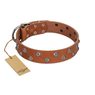 "Waltz of the Flowers" Handmade FDT Artisan Tan Leather Labrador Collar with Chrome-plated Engraved Studs