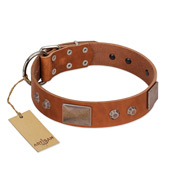 "Great Obelisk" Handcrafted FDT Artisan Tan Leather Labrador Collar with Large Plates and Pyramids