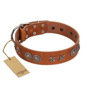 "Splendid Armor" Premium Quality FDT Artisan Tan Designer Labrador Collar with Shields and Stars