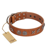 "Brave Spirit" Handmade FDT Artisan Designer Tan Leather Labrador Collar with Shields