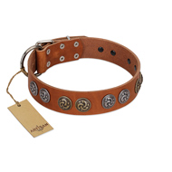 "Luxurious Life" Premium Quality FDT Artisan Tan Leather Labrador Collar with Round Adornments