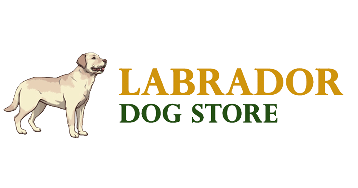 Labrador dog harness Labrador dog muzzle Labrador dog collar