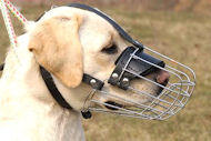 Basket Wire Dog Muzzle Light For Labrador