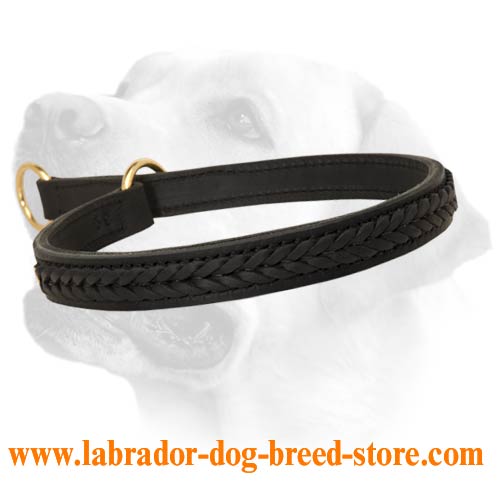 Labrador Silent Collar With Elegant Braid Decoration