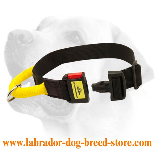 Easy Handling Nylon Collar For Labrador