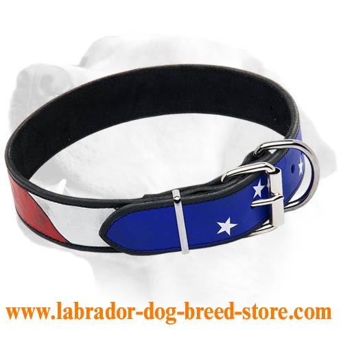 "American Patriot" Handcrafted Leather Collar For Labrador