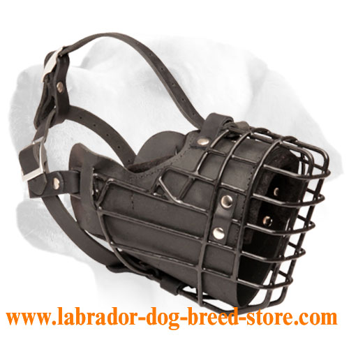 Winter Wire Cage Muzzle With Padding For Labrador