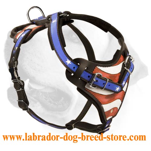 Glory of the USA Handpainted Leather Harness for Labrador