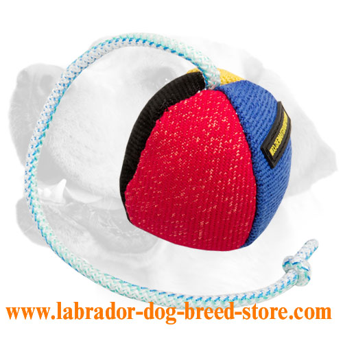 4 3/10 inch (11 cm) Durable French Linen Biting Labrador Ball