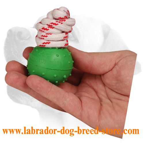 2 inch (5 cm) Dotted Rubber Dog Ball for Water Training and Playing