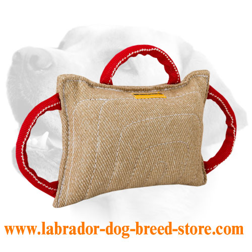 Training Jute Labrador Bite Pillow With Handles