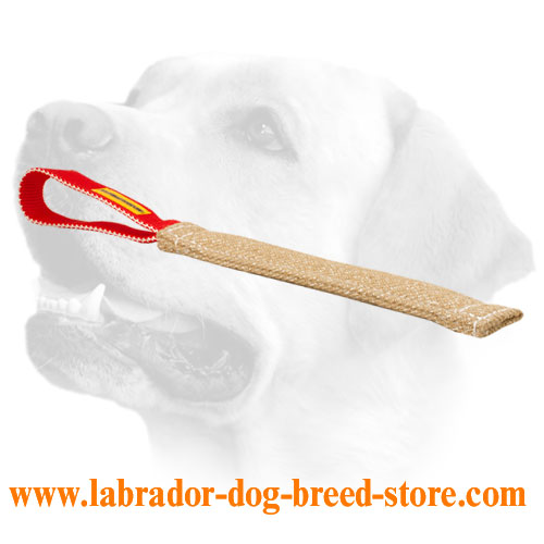 Labrador Bite Toy For Puppy Bite Training