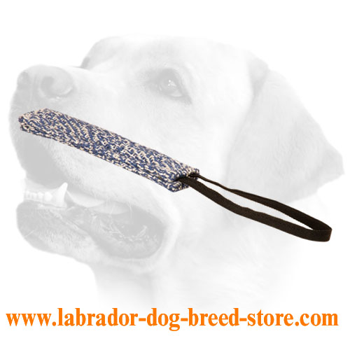 French Linen Labrador Bite Tug For Proper Training