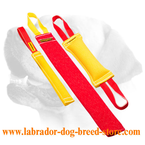 Buy Retrieve Training French Linen Labrador Bite Tugs and Get Free Training Toy