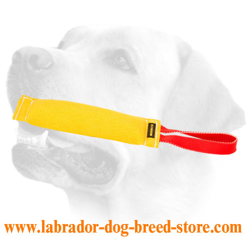Reliable French Linen Labrador Bite Tug For Training