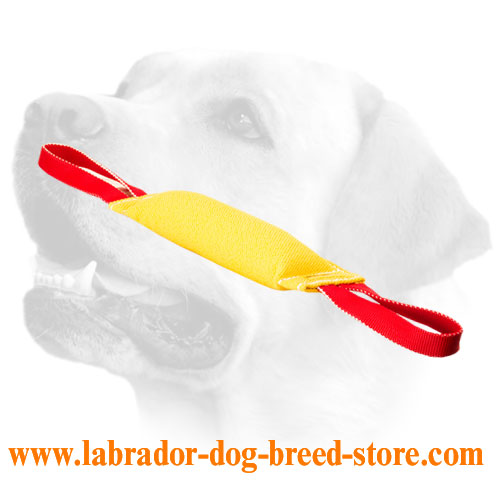 French Linen Labrador Bite Tug With Two Handles
