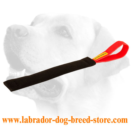 French Linen Labrador Bite Tug With Handle For Puppy Training