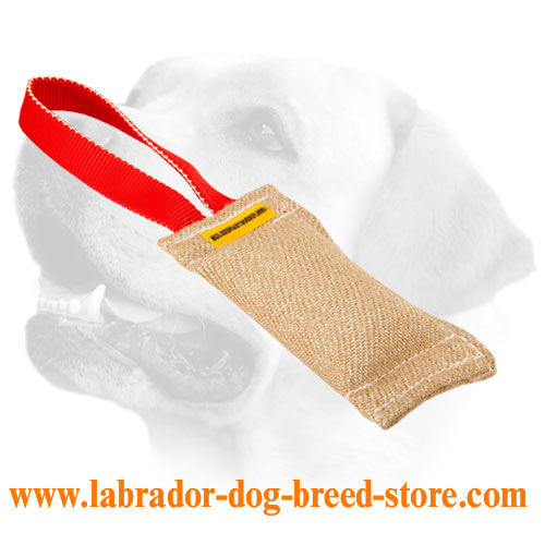 Training Jute Labrador Bite Tug Equipped With Handle
