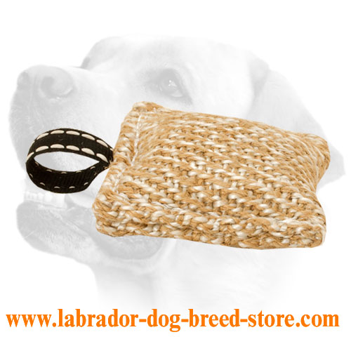 Jute Labrador Bite Tug For Puppy Training