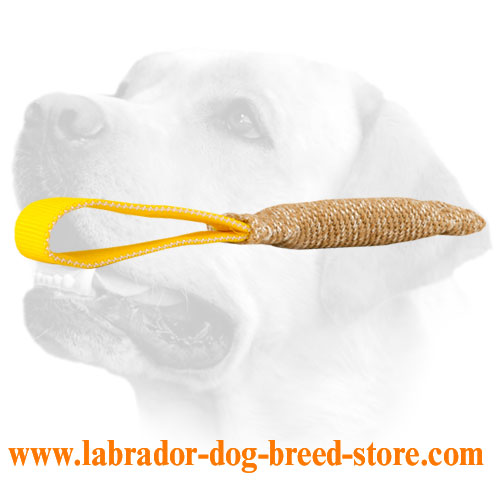 Training Jute Labrador Bite Tug With Firm Loop