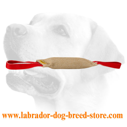 Reliable Jute Labrador Bite Tug With Two Hadles