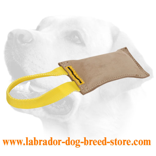 Professional Training Leather Labrador Bite Tug