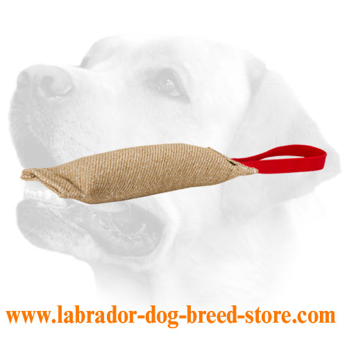 Puppy Training Jute Labrador Bite Tug
