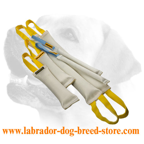 Fire Hose Labrador Bite Tugs Training Set