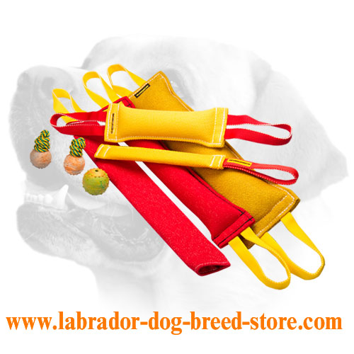 French Linen Labrador Bite Tugs With Handles