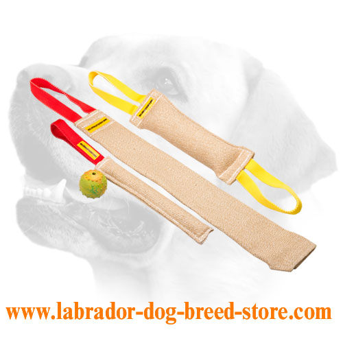 Order These Prey Drive Training Labrador Bite Tugs and Get Great Training Toy (value $5.9)
