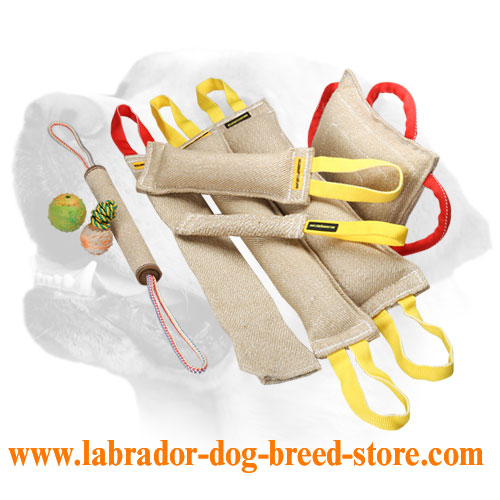 Ultimate Training Labrador Bite Tugs