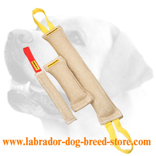 Training Jute Labrador Bite Tugs With Handles