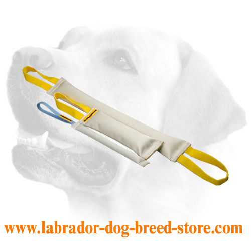 Training Fire Hose Labrador Bite Tugs Set