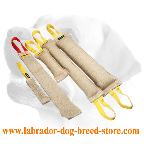 Jute Bite Tugs Set For Labrador Training