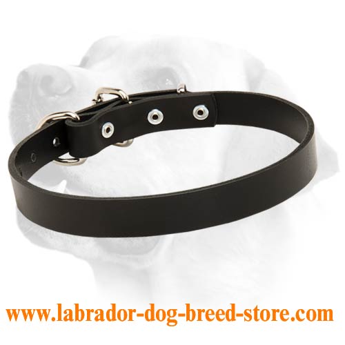 Boss Full Grain Leather Collar For Labrador - Click Image to Close