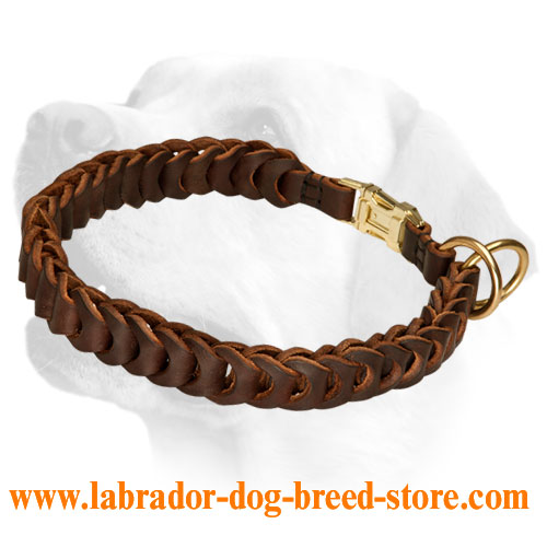 Stylish Braided Leather Choke Collar for Labrador