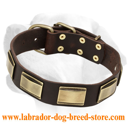 Leather Labrador Collar Decorated with Massive Plates