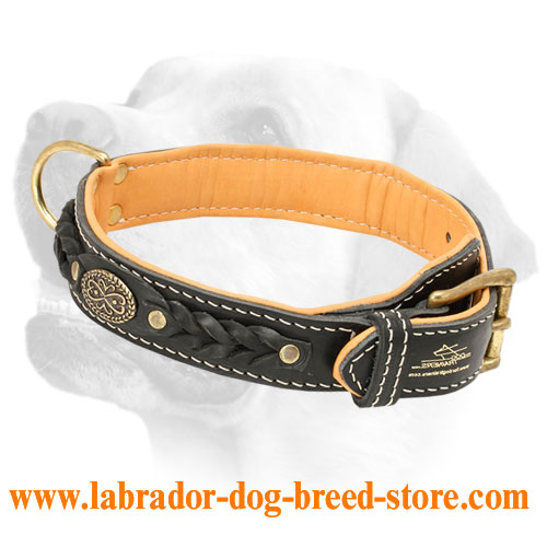 Braided Leather Labrador Collar