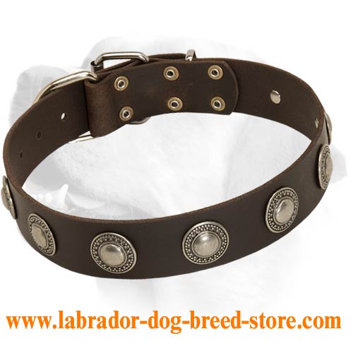 Charming Leather Collar Decorated With Vintage Medallions