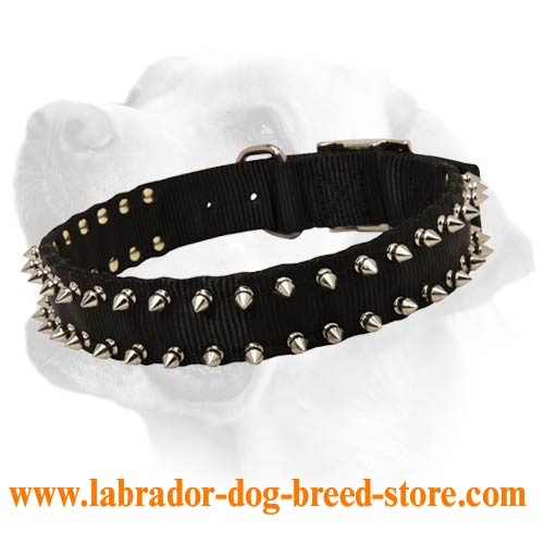 New Water Proof Nylon Labrador Collar with Fascinating Spikes - Click Image to Close